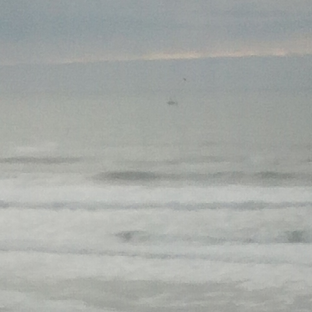 Meet your Posher, Karla